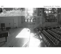MEV - Symphony No. 107 - The Bard [VINYL]