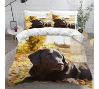 MEVASA Labrador Retriever Bedding Double Bed Set Microfiber Teenager Bedding Cute Puppy 3D Bedding Set for Small Double 3Pcs Anti Allergic Double Duvet Cover Set with Zipper /200x200