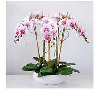 MEVZHH Artificial Flowers,Artificial Butterfly Orchid Potted Ornaments Realistic Large Orchid Liviroom Model Room Hotel Shoornaments Wdecoration Fake Flowers/5 Flowers