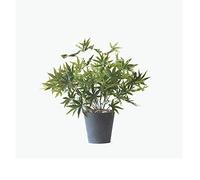 MEVZHH Artificial Flowers,Artificial Plants 16.9 inch Artificial Maple Leaf Tree Faux Plants Décor Indoor Outdoor,Fake Plastic Plants with Gray Plasticpot，for Home Office Desk Simulation Tree