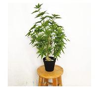 MEVZHH Artificial Flowers,Artificial Plants 23 inch Artificialall Potted Plants, Faux Maple Trees That Can Beautify The Environment, Fake Trees for Shoppimall Attractions Decoration Simulation Tree