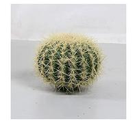 MEVZHH Artificial Flowers,Artificial Plants 9 inch Artificial Cactus Plant in Green Potted Plants, Beautiful Faux Plant for Home Decor, Realistic Artificial Plants Simulation Tree