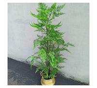 MEVZHH Artificial Flowers,Artificial Plants Artificial Fern Tree 47 inch Faux Plants Decoration Indoor Outdoor,Fake Fern Tree Plant with Woven Basket for Home and Office Simulation Tree