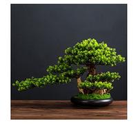 MEVZHH Artificial Flowers, Artificial Plants Artificial Tree Simulation Welcome Pine Bonsai Desktop Ornaments Liviroom Entrance Tea Room Decoration Office Green Plants Fake Potted Plants Simulation Tr