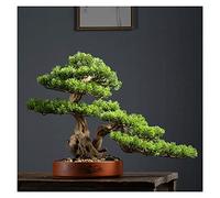MEVZHH Artificial Flowers Artificial Plants New Chinese-Style Artificial Welcome Pine Bonsai,13-Inch Zen Micro Landscaornament，Fake Trees for Conference Room Exhibition Hall Rack Simulation Tree