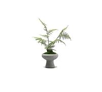 MEVZHH Artificial Flowers,Artificial Plants Simulation Tree Potted Ornaments Liviroom Desktop Art Bonsai Artificial Green Plants Zen Micro Landscaornaments Simulation Tree/Green/C