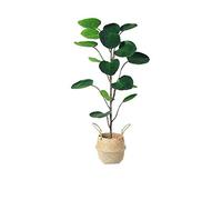 MEVZHH Artificial Flowers Artificial Plants the Simulation Money Pocket Potted Plant with Good Stability, the Artificial Tree That is Not Easy to Fall, Two Kinds of Flowerpot Bases Are Optiona. Simula