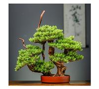 MEVZHH Artificial Flowers,Simulation Potted Plant Artificial Welcomipine Bonsai Zen-Like Fake Green Plants Ornaments Chinese-Style Fake Tree Potted Liviroom Hotel Shop Decoration Artificial Tree/a