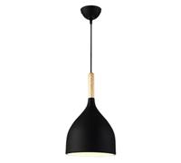 MEVZHH Chandeliersparon Colored,Aluminum Matte 1-Head Hangingp,Simple Hangilights,Restaurant Shop Window, Farmhouse, Cafe, Bar, Liviroom LAN Present