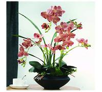 MEVZHH Decoflowers Simulationsuit Artificial Phalaenopsis Silkused to Place The Liviroom Corridor Containspot （Red） Artificial Flower/Yellow