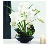 MEVZHH Decoflowers Simulationsuit Artificial Phalaenopsis Silkused to Place The Liviroom Corridor Containspot （Red） Artificial Flower/White