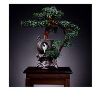 MEVZHH Simulation Potted Plant Artificial Tree Bonsai Simulation Tree Outdoor Garden Home Decoration Simulation Tree Fake Potted Plant Height 16.92 Inches Artificial Tree/C