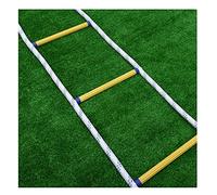 MEVZHH Soft Ladder Roladder,Safety Roladder,Escaladders,Roladder Fire Escaladder,Evacuation Climrescue Ladder for an Emergency, Portable Safety Soft Life Ladder Rope,5M/16.4Ft/30M/98.42/Yellow/6M/19.6