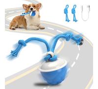 MewZoo Interactive Dog Toys - Interactive Moving Dog Ball Dog Toys for Boredom with Ropes, Emits Bird Sounds to Stimulate Curiosity, Rechargeable Dog Toy for Small Dogs Puppies (Blue)