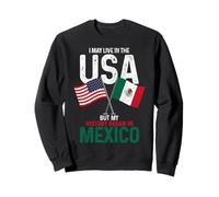 Mexican American My History Began In Mexico Pride Vintage Sweatshirt