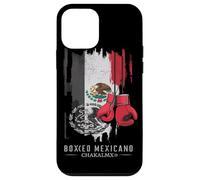 Mexican Boxing Mexican Flag Symbol Case for iPhone 12 mini