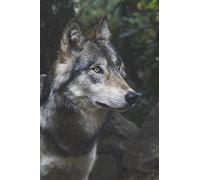 Mexican Gray Wolf Journal: 150 page lined notebook/diary