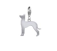 Mexican Hairless Dog Silhouette Silver Charm