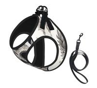 Mexican Skull Adjustable Reflective Harness Leash Set For Cats And Dogs, Soft Breathable Mesh Vest With Escape-Proof Design For Small Pets