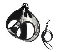 Mexican Skull Print Small Dog Harness with Leash Set, No Escape Easy Walk Puppy Harnesses for Training Walking