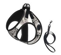 Mexican Skull Print Step in Dog Harness and Leash Set,Adjustable Reflective Harness for Small Dogs Cats