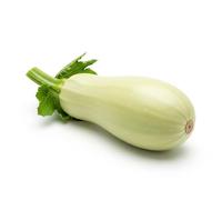 Mexican Squash Calbacita, 1 Pound
