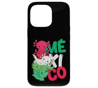Mexicans Roots Cinco De Mayo Souvenir México Proud Heritage Case for iPhone 13 Pro