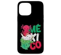 Mexicans Roots Cinco De Mayo Souvenir México Proud Heritage Case for iPhone 13 Pro Max