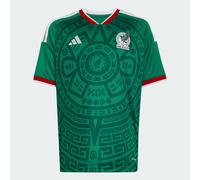 Mexico 26 Home Kids Jersey
