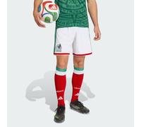 Adidas Mexico 26/27 Replica Home Shorts Green S Men