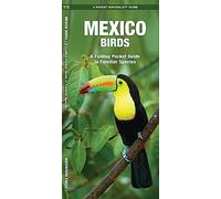 Mexico Birds: A Folding Pocket Guide to Familiar Species (A Pocket Naturalist Guide)