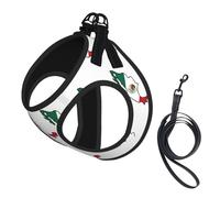 Mexico Flag Map print Dog Harness and Leash Set, Reflective Adjustable Puppy Vest for Small Medium Large Dogs, Cats