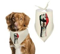 Mexico Flag Nation Spirit Printed Dog Bandanas Adjustable Trendy Triangle Pet Scarffor Small Medium Large