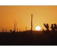 Mexico: In the Heart of the Desert