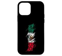 Mexico Mexican Flag Scribble Letters Latino Case for iPhone 12 mini