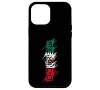 Mexico Mexican Flag Scribble Letters Latino Case for iPhone 12 Pro Max