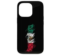 Mexico Mexican Flag Scribble Letters Latino Case for iPhone 13 Pro