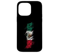 Mexico Mexican Flag Scribble Letters Latino Case for iPhone 14 Pro Max
