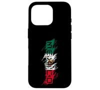 Mexico Mexican Flag Scribble Letters Latino Case for iPhone 16 Pro