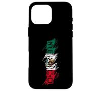 Mexico Mexican Flag Scribble Letters Latino Case for iPhone 16 Pro Max