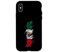 Mexico Mexican Flag Scribble Letters Latino Case for iPhone X/XS
