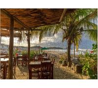 Mexico Puerto Escondido Views Funny Jigsaw Perfect for Brain Puzzle Lovers Vibrant Illustrations and Quality Piece Great Gift Idea Wooden Puzzles_500pcs