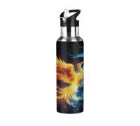 Mexpekil Abstract Fire Water Phoenix Water Bottles 600ml Insulated Stainless Steel Water Bottle with Straw Leakproof Vacuum Flask for Kids Adults