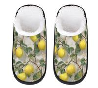 Mexpekil Apples Branch Fluffy Slippers for Women Men M