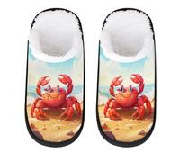 Mexpekil Beach Crab Fluffy Slippers for Women Men M