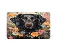 Mexpekil Door Mat Black Labrador Front Doormat for Outside Entrance Patio Porch, Animal Floor Mat Entrance for Indoor Bedroom Bathroom Kitchen Home Decorative
