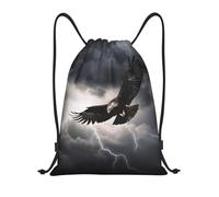 Mexpekil Eagles Cleaved the Sky Drawstring Bags PE Bag Waterproof Swimming Bag Small Gym String Bags