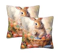 Mexpekil Easter Bunny Fruit Cushion Covers 55cm X 55cm 2 Pack Invisible Zipper Square Pillow Cases Decorative Pillow Covers Protectors for Sofa Bed Home Decor