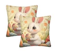 Mexpekil Easter Bunny Holding Egg Cushion Covers 55cm X 55cm 2 Pack Invisible Zipper Square Pillow Cases Decorative Pillow Covers Protectors for Sofa Bed Home Decor