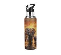 Mexpekil Elephant Migration 600ml Insulated Water Bottle with Straw Lid Stainless Steel Thermos Bottle Vacuum Flask Leakproof Travel Sports Water Bottles for Running Cycling Hiking